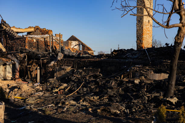 Reliable Fire Damage Repair contractor in Issaquah, WA by Fire Damage Doption